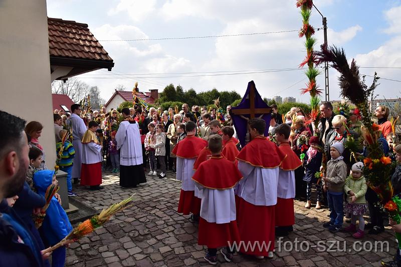 foto-szuDSC_0890.jpg