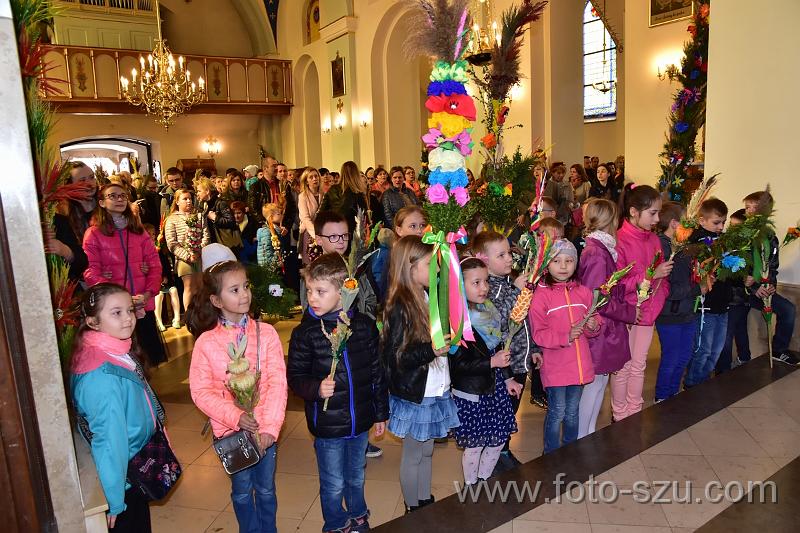 foto-szuDSC_0931.jpg