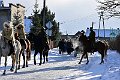 fotoszu-DSC_4897
