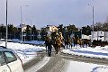 fotoszu-DSC_4910
