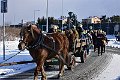 fotoszu-DSC_4920